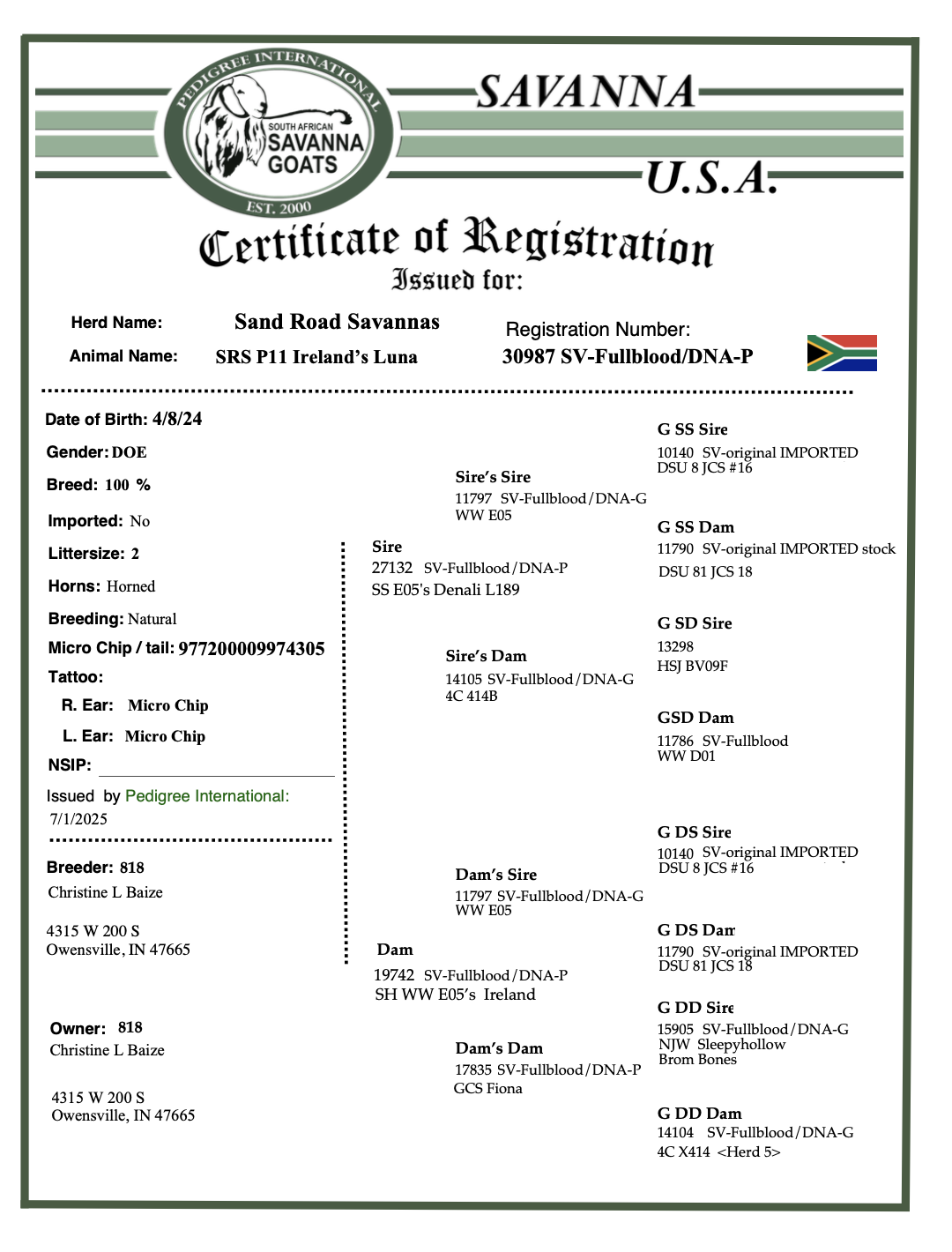 Screenshot 2025-07-11 at 1.07.32 PM